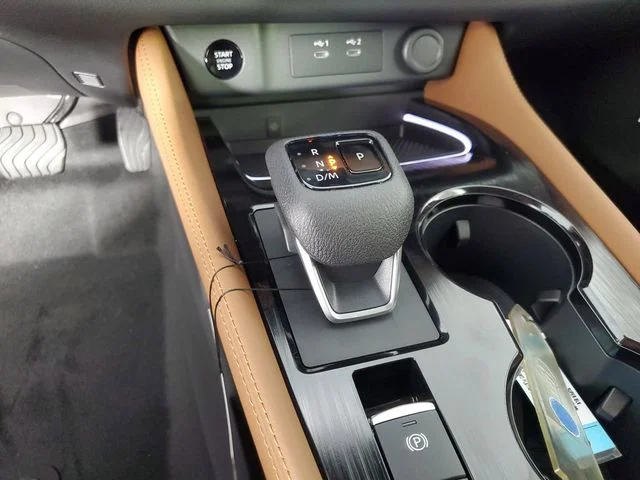 New 2026 Super Black Nissan Platinum image 21