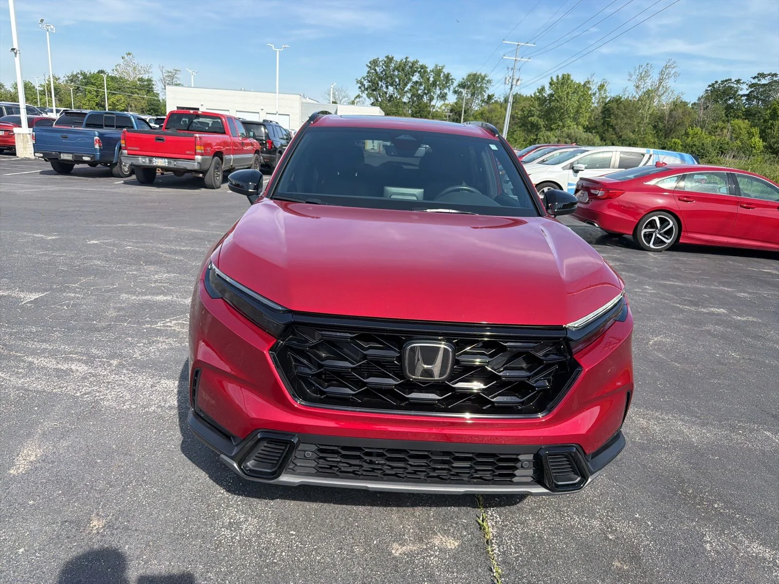 Used 2025 Red Honda Sport-L image 9