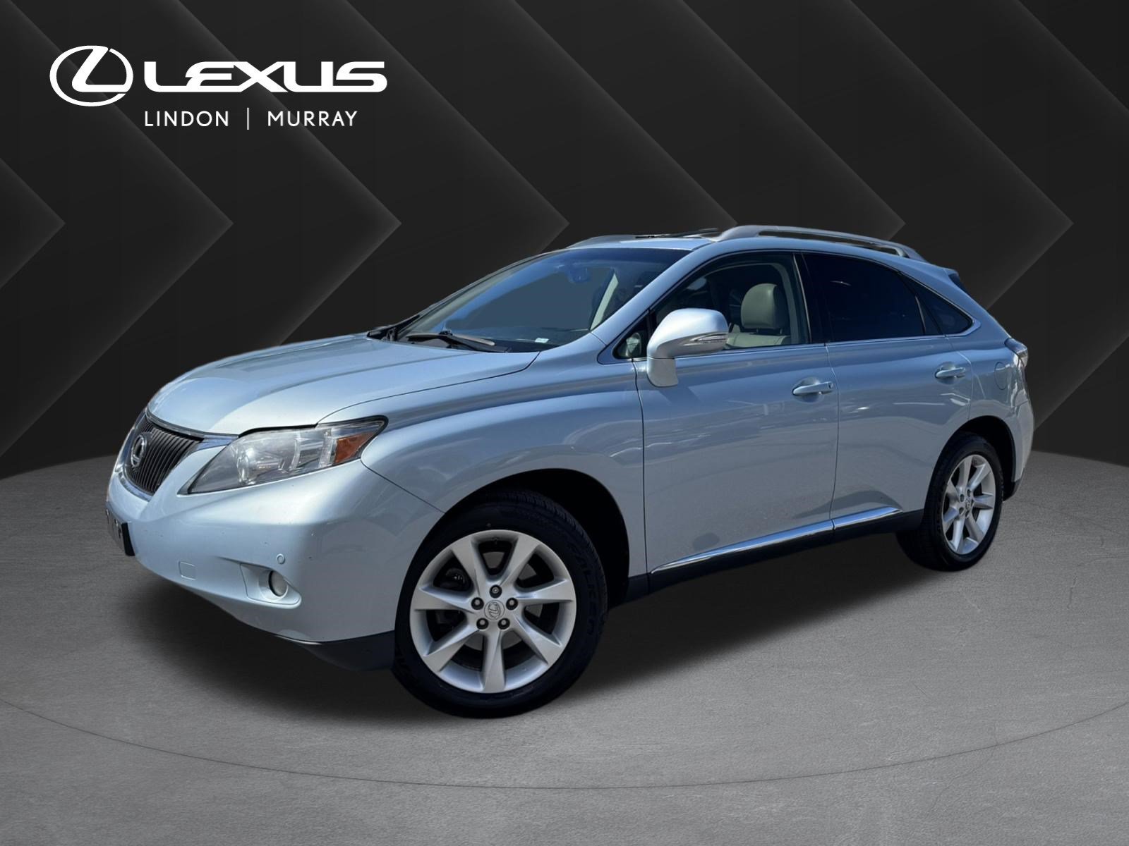 2010 Lexus RX