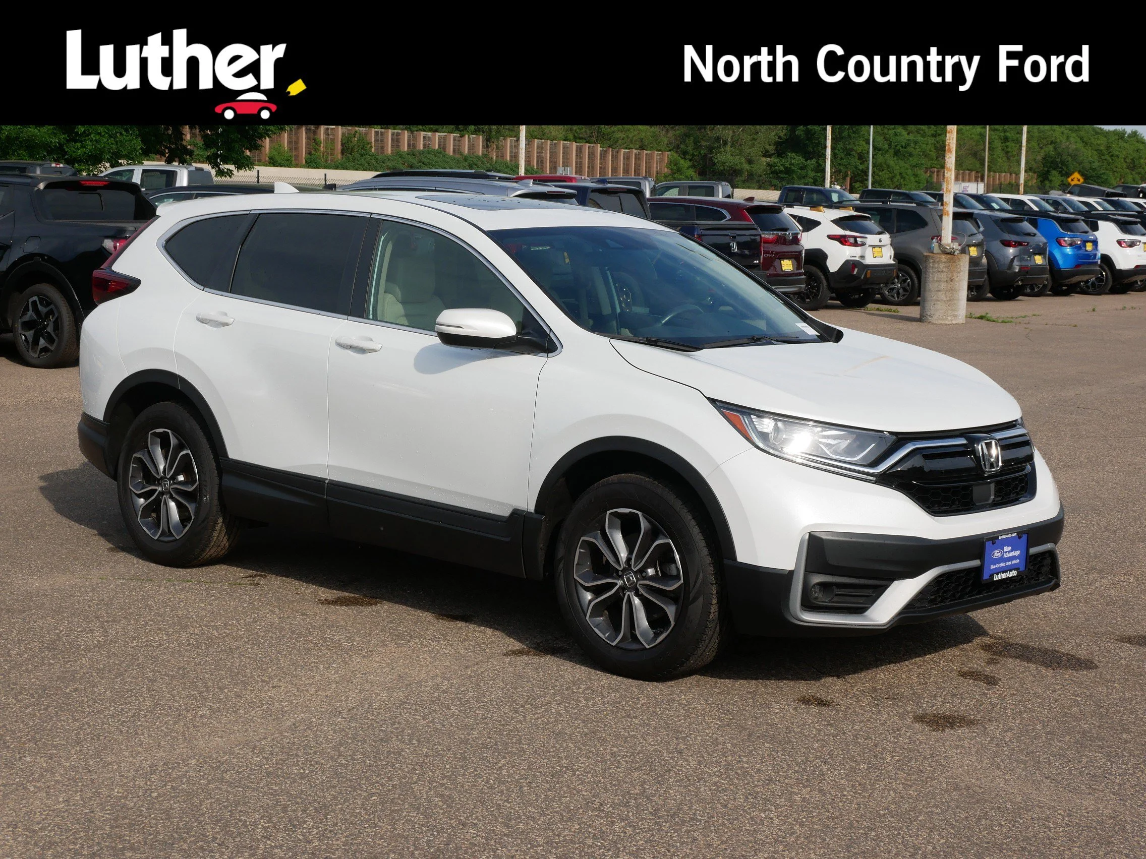 2022 Honda CR-V EX AWD's photo