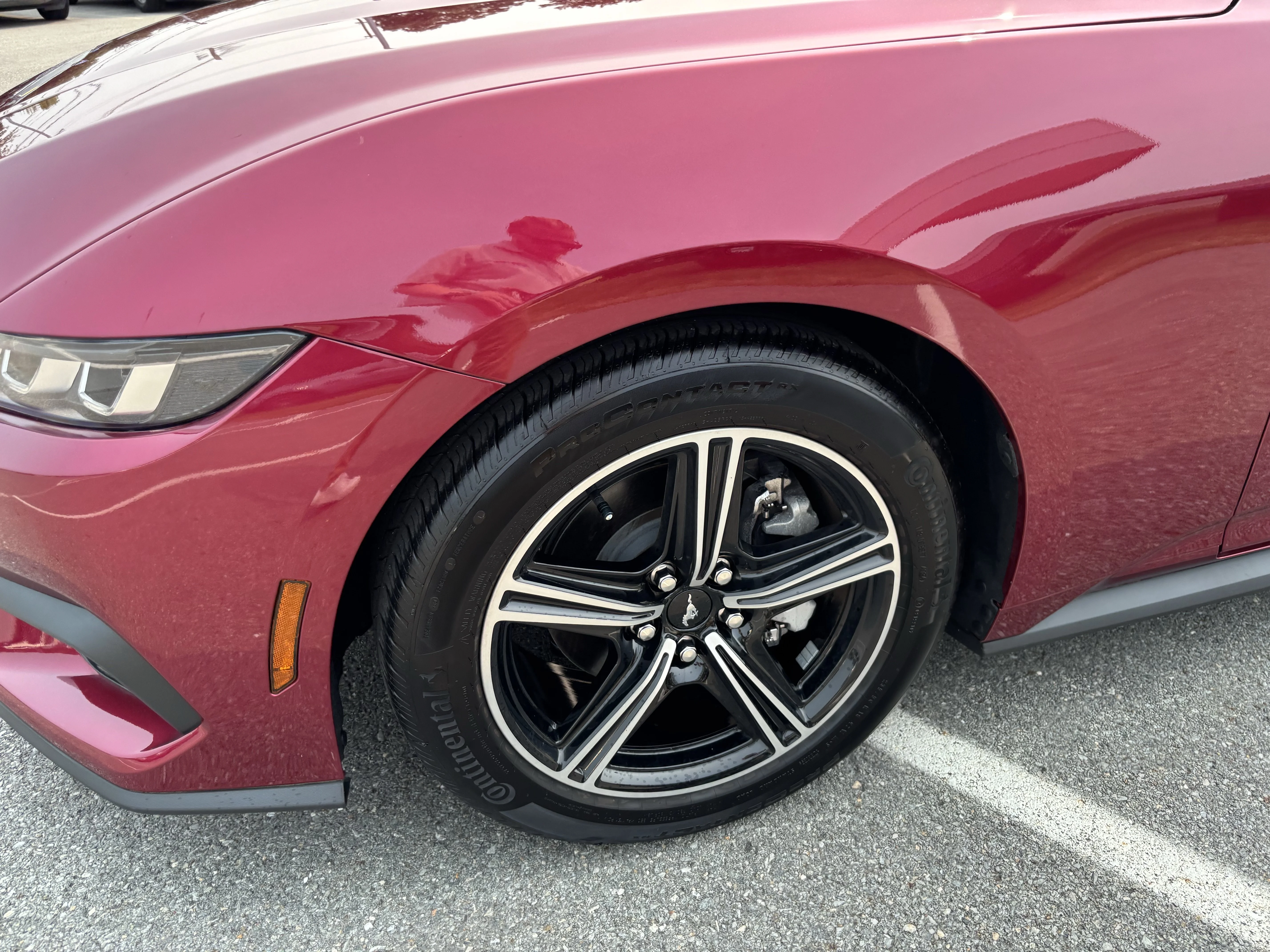 Used 2025 Magenta Ford EcoBoost Premium image 35