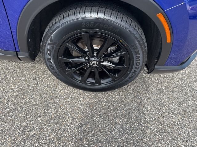 Used 2024 Blue Honda Sport-L image 13