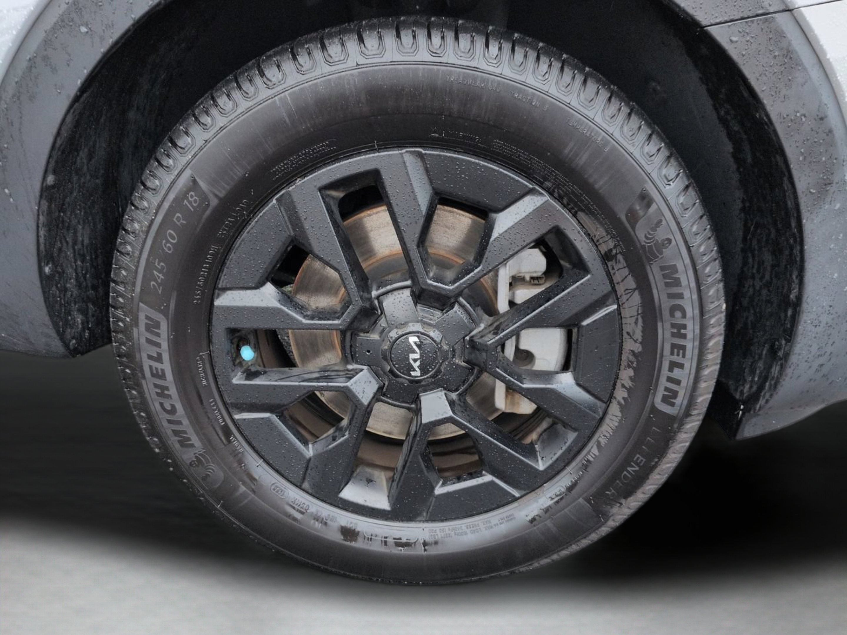 Used 2024 Wolf Gray Kia SX-Prestige X-Pro image 33