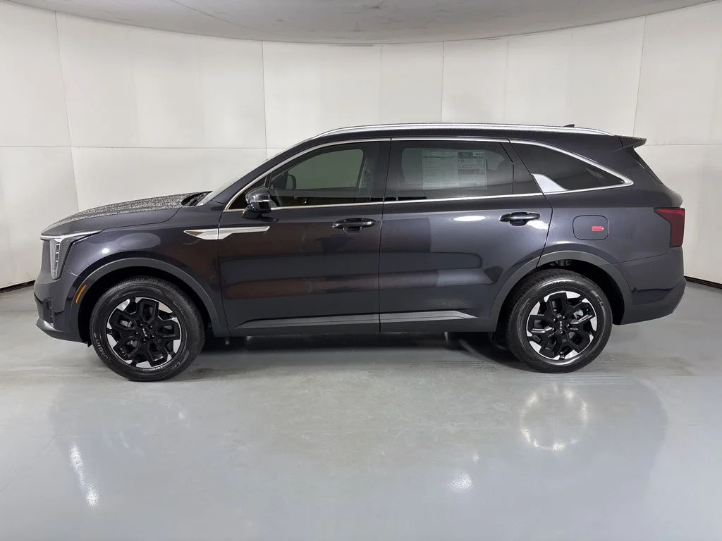 New 2026 Panthera Metal Kia S image 5