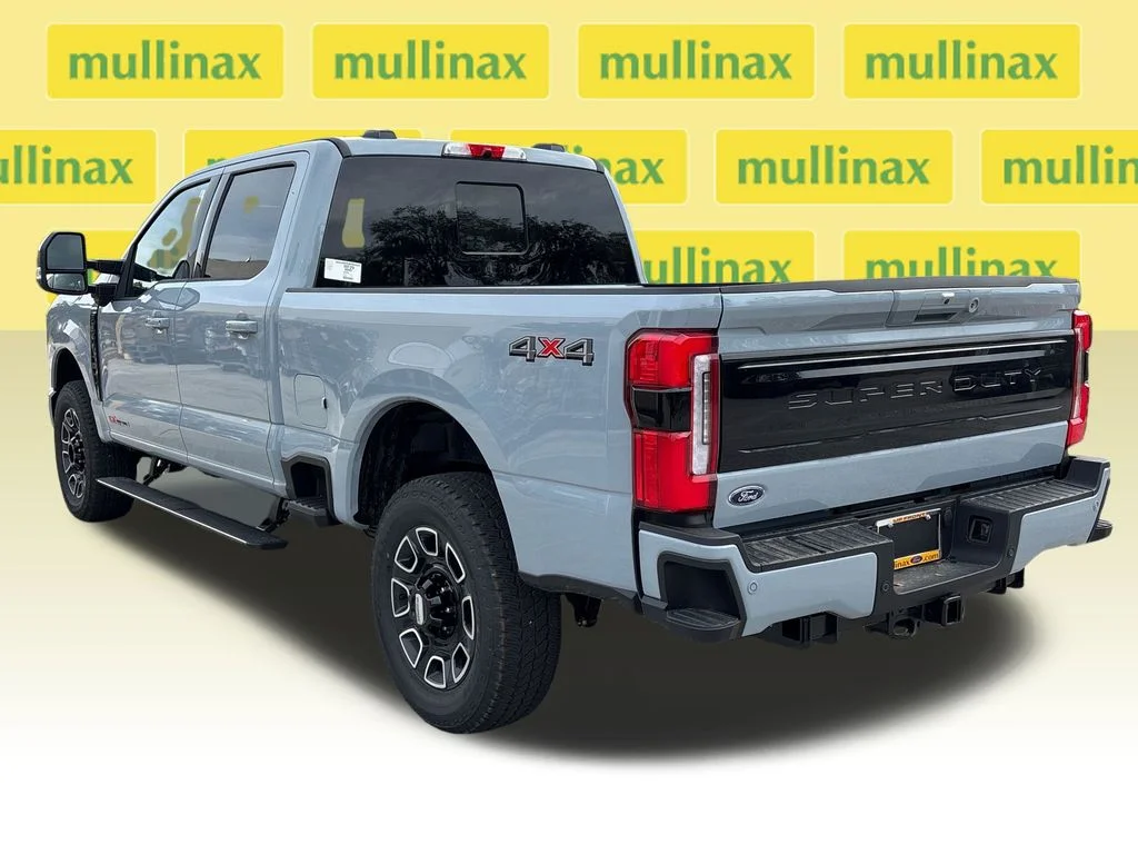New 2026 Gray Ford Platinum image 11
