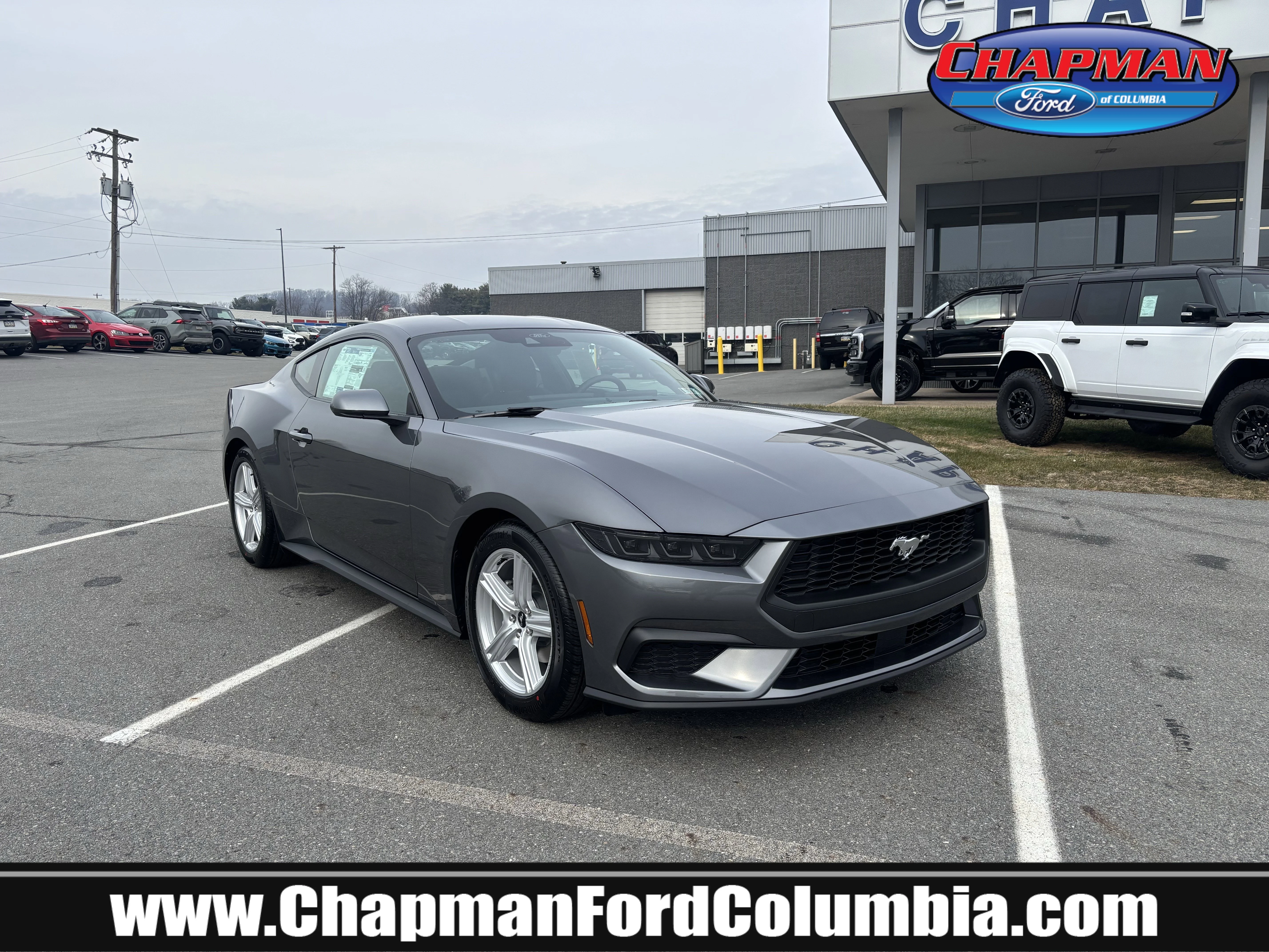 2026 Ford Mustang EcoBoost Fastback's photo
