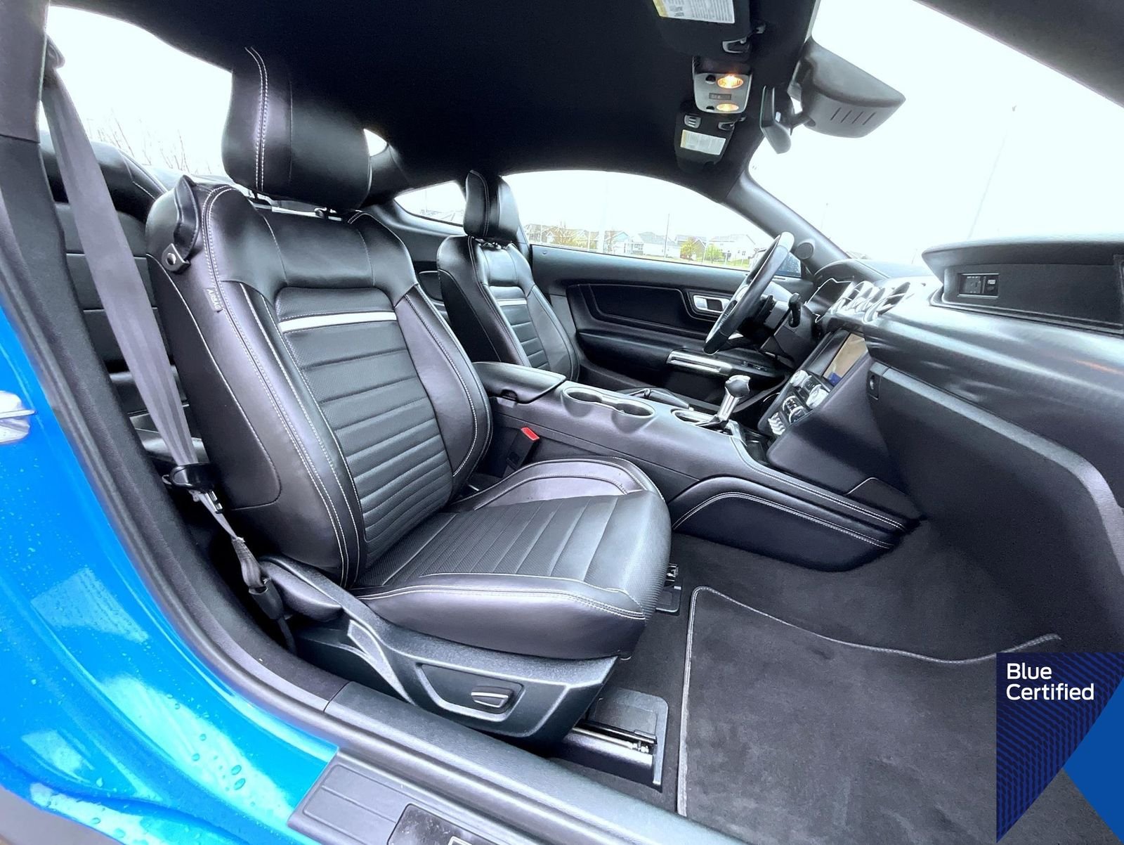 Certified Used 2023 Grabber Blue Ford Mach 1 image 14