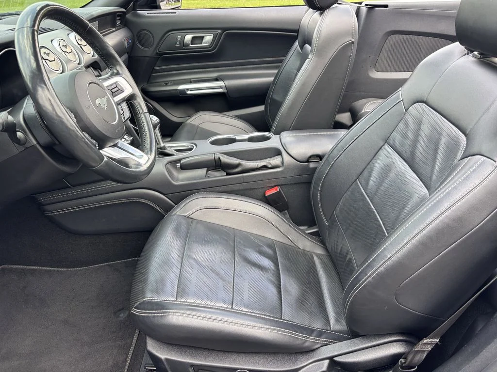 Used 2019 Black Ford GT Premium image 17