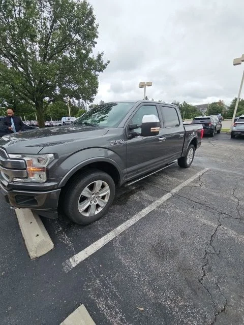 Used 2019 Magnetic Metallic Ford Platinum image 1