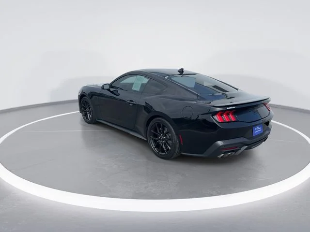 Used 2025 Black Ford GT image 5
