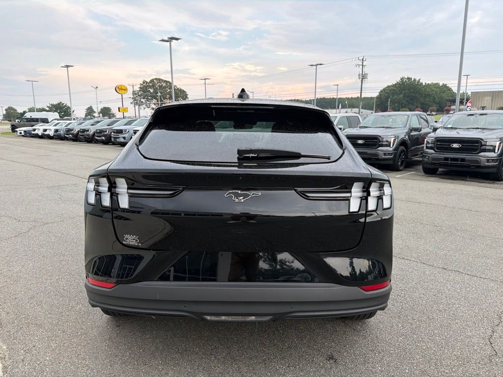 Used 2025 Shadow Black Ford Premium image 5
