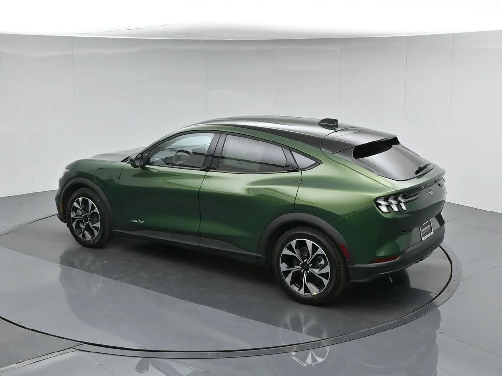 New 2026 Eruption Green Metallic Ford Select image 40