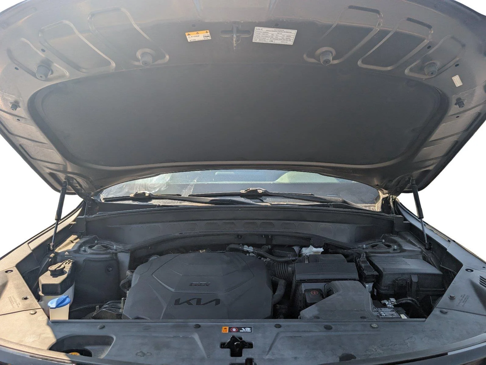 Used 2022 Dark Moss Kia SX image 41
