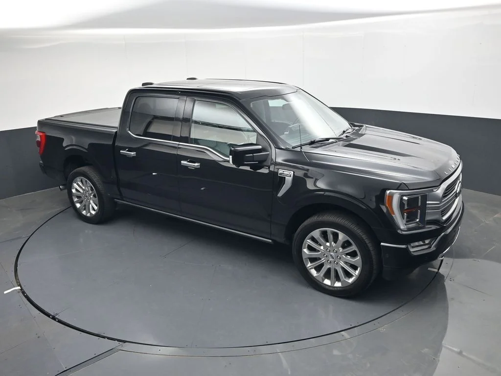 2021 Ford F-150 Limited - Photo 18