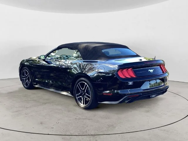 Used 2022 Shadow Black Ford Ecoboost Premium image 3