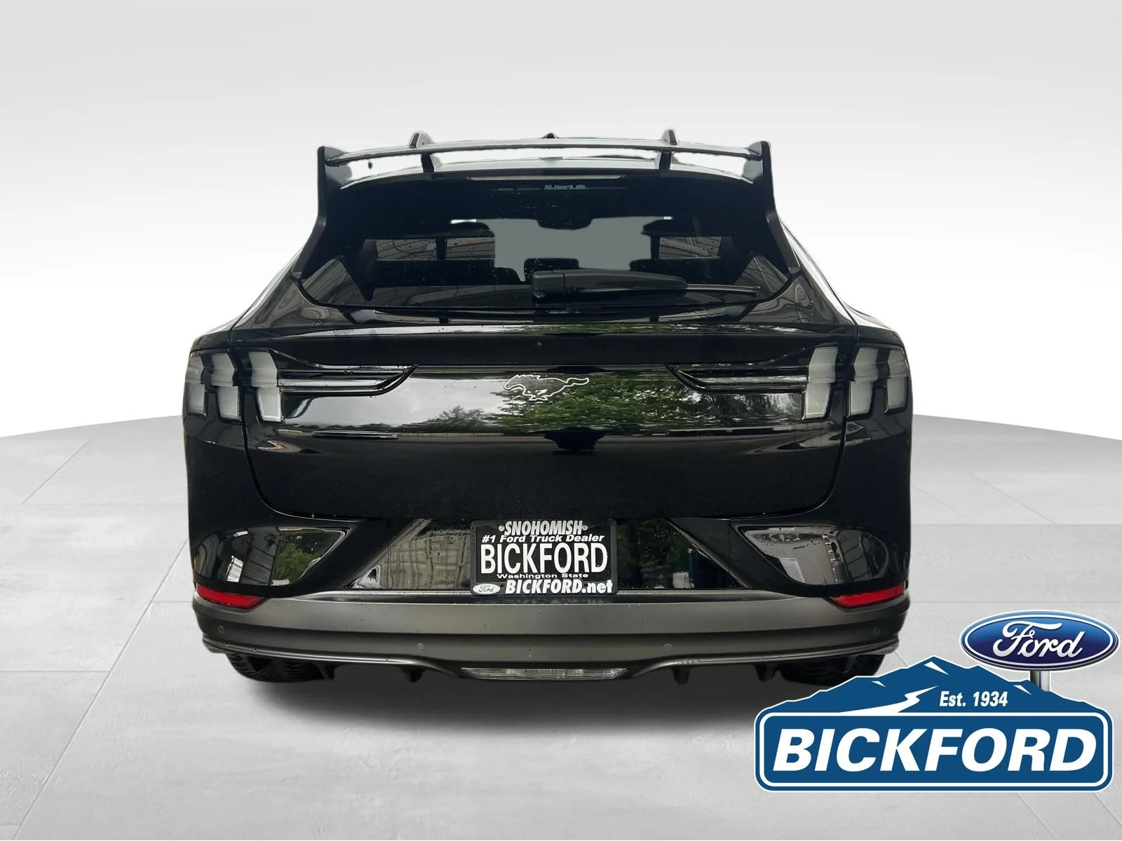 2025 Ford Mustang Mach-E GT - Photo 10