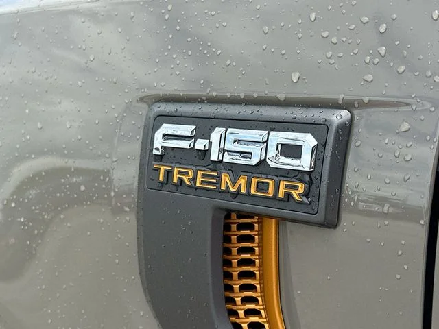 New 2026 Gray Ford Tremor image 19