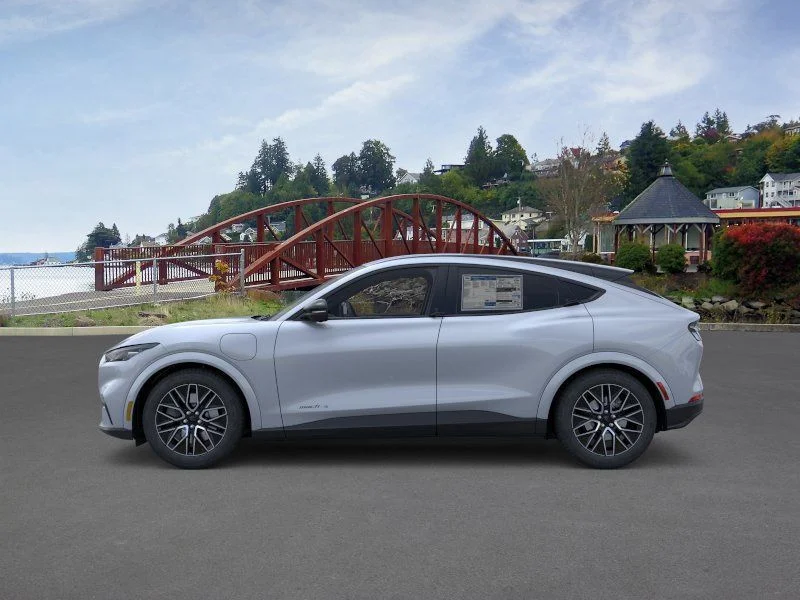 New 2026 Gray Ford Premium image 5