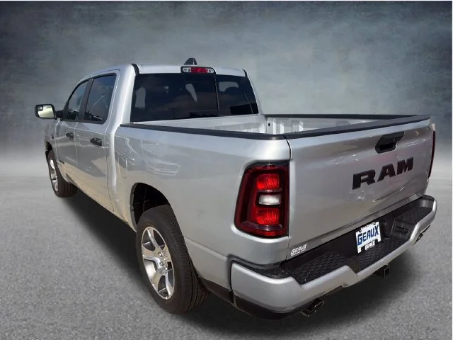 New 2027 Silver Zynith Exterior Paint RAM Express image 5