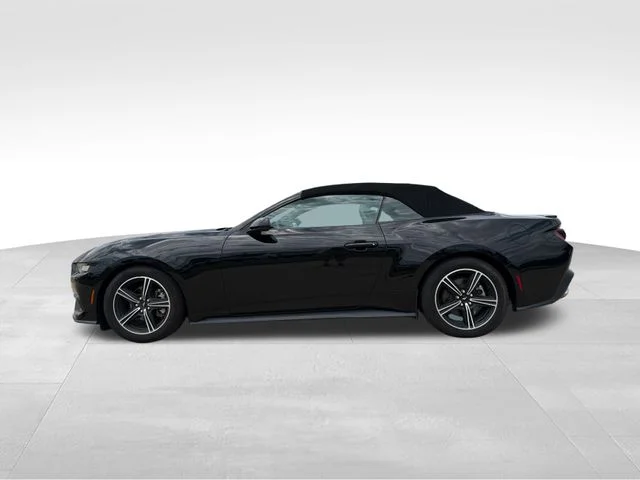 Used 2024 Black Ford EcoBoost Premium image 4