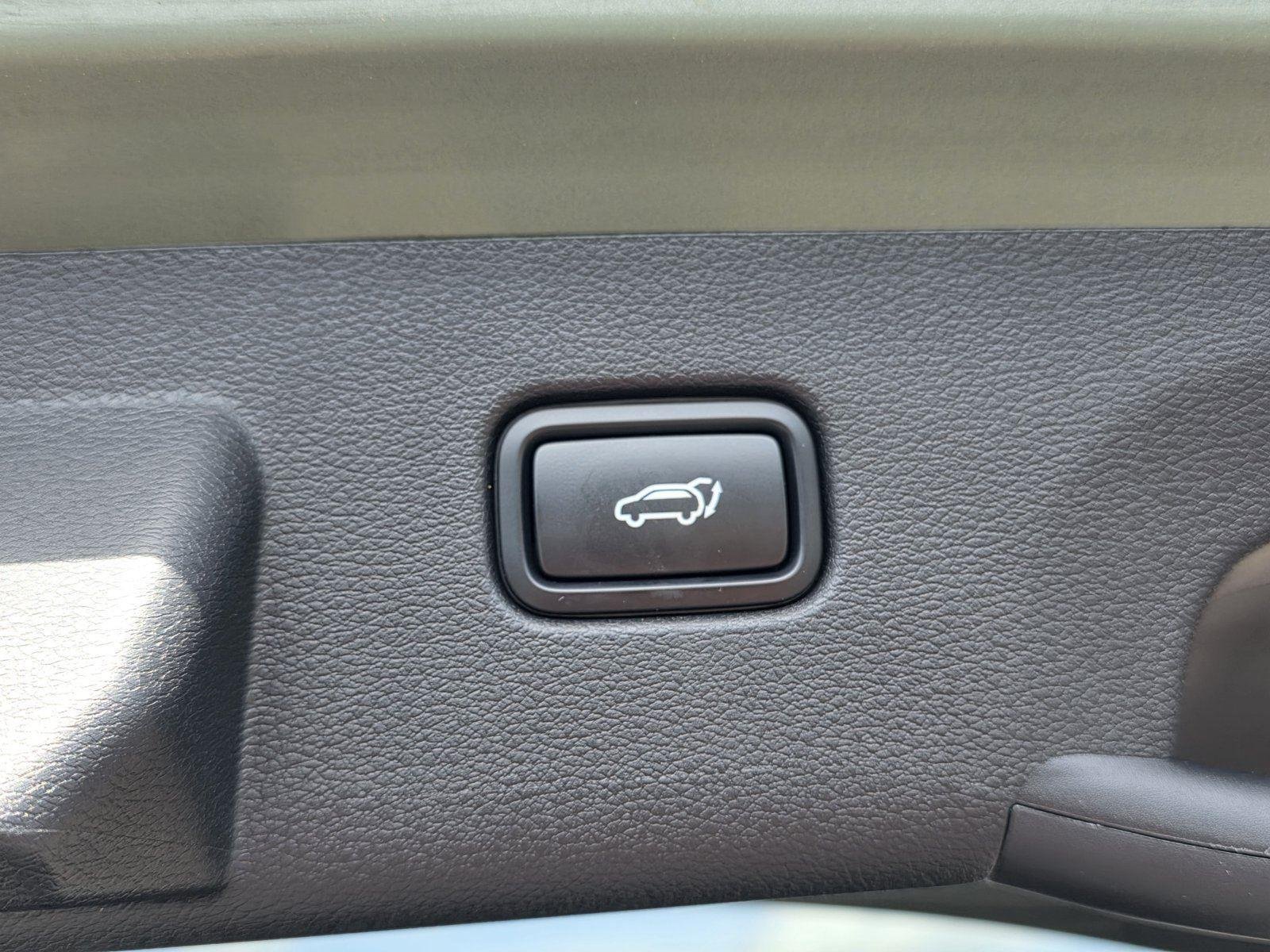 Used 2024 Jungle Green Kia X-Line image 36