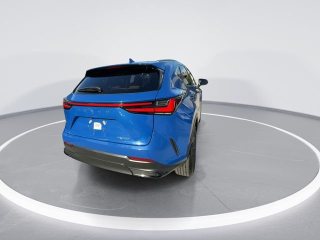 2025 Lexus NX 250 - Photo 7