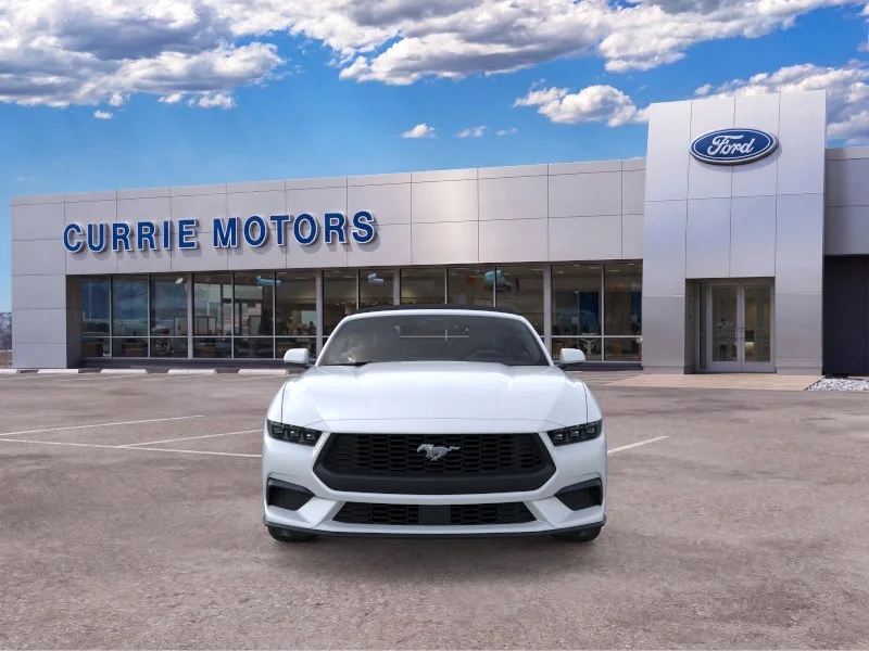 New 2026 Oxford White Ford EcoBoost image 6