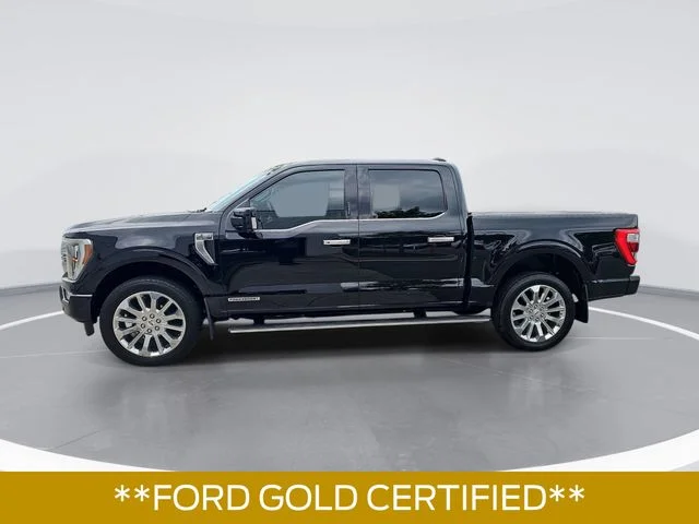 Used 2023 Black Ford Limited image 2