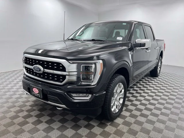 Used 2023 Black Ford Platinum image 2