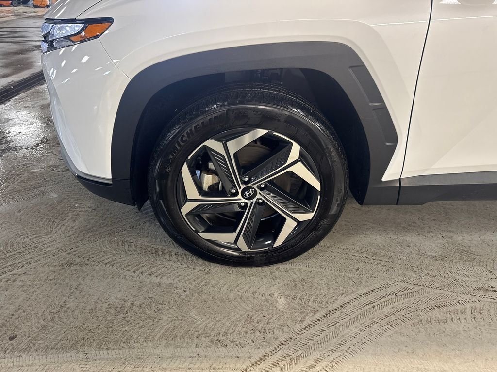 Certified Used 2024 White Hyundai SEL Convenience image 11