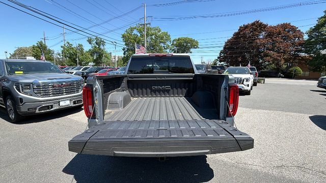 2026 GMC Sierra 1500 Denali - Photo 10