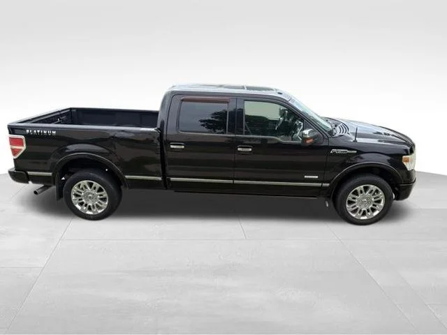 Used 2013 Brown Ford Platinum image 2