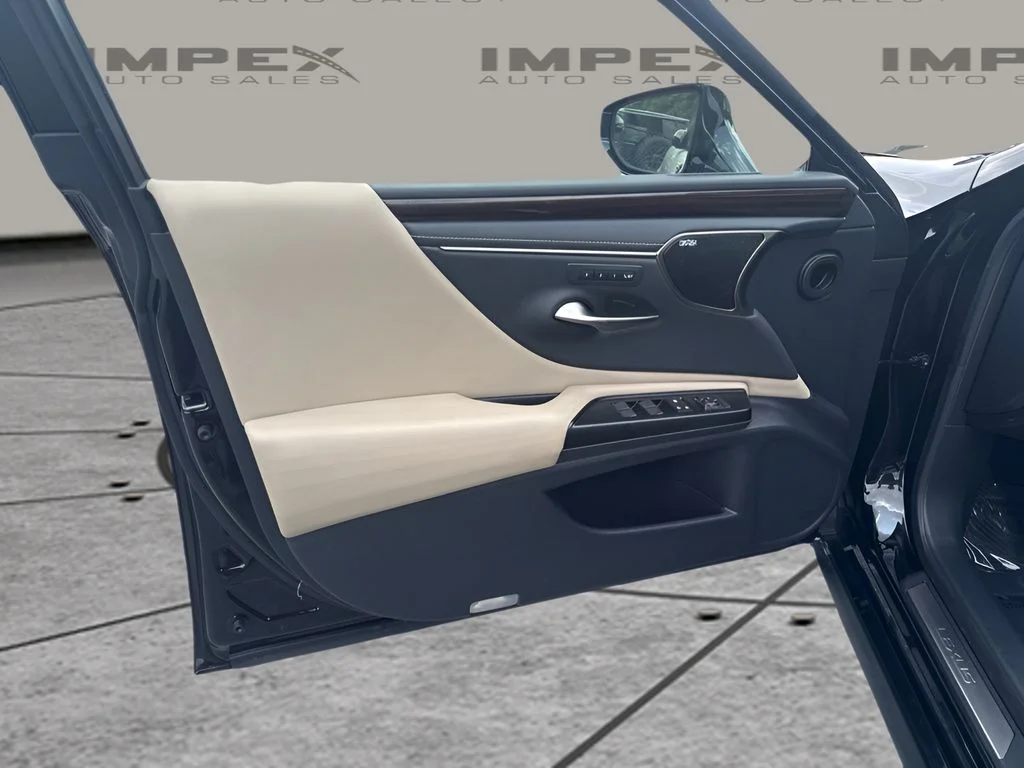 Used 2019 Black Lexus 300h Luxury image 16