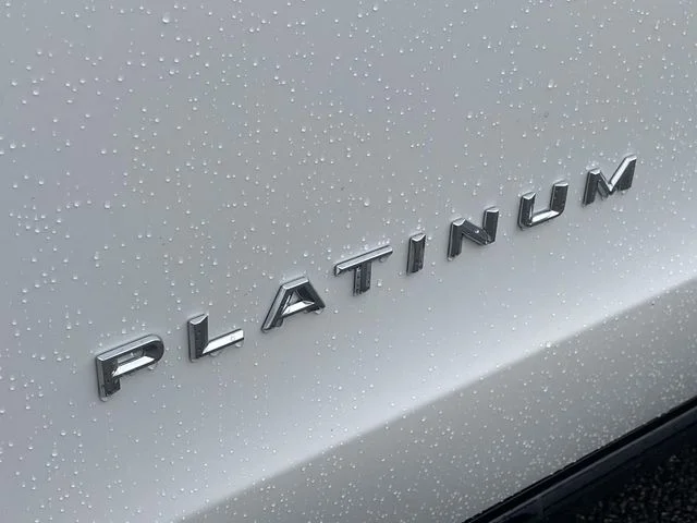 New 2025 White Ford Platinum image 22