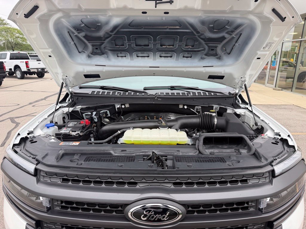 Used 2024 White Metallic Ford Timberline image 37