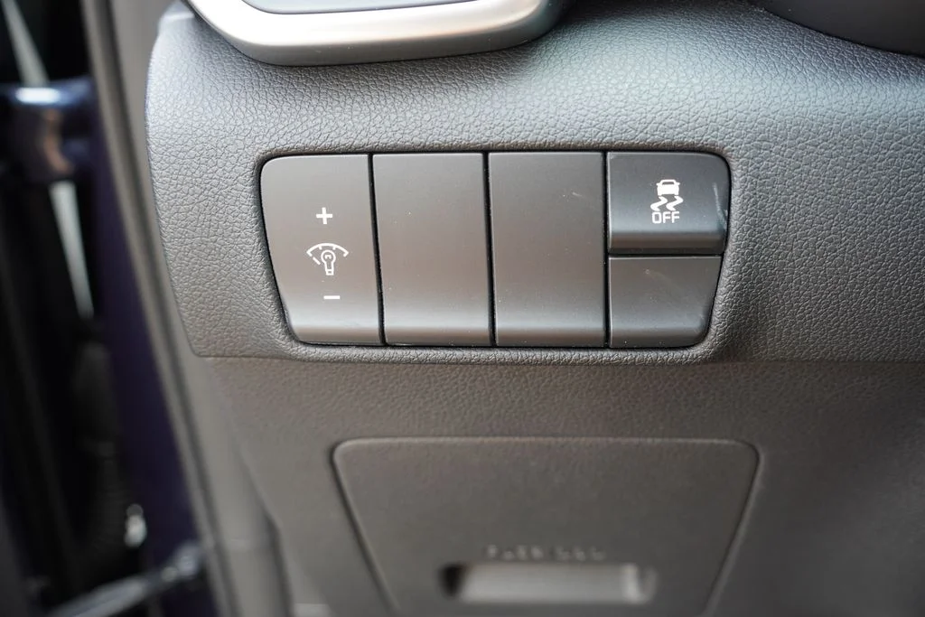 Certified Used 2017 Pacific Blue Kia LX image 24