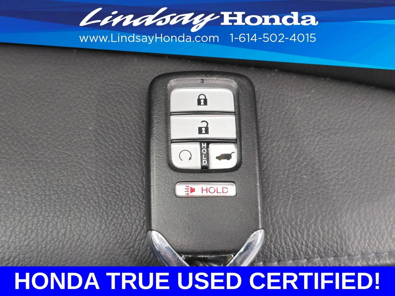 Certified Used 2020 Aegean Blue Metallic Honda EX-L image 24
