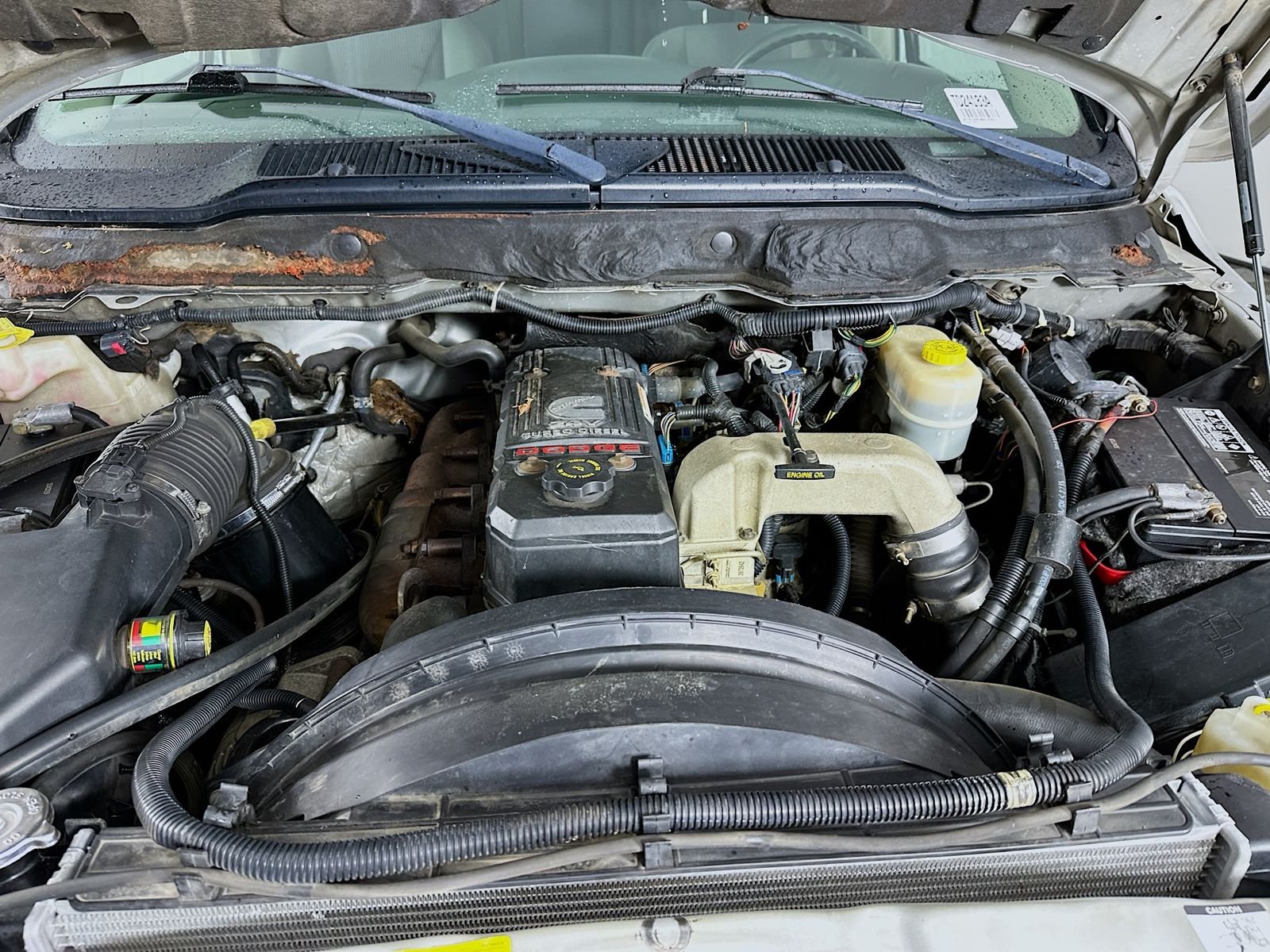 Used 2006 Bright Silver Metallic Dodge SLT image 28