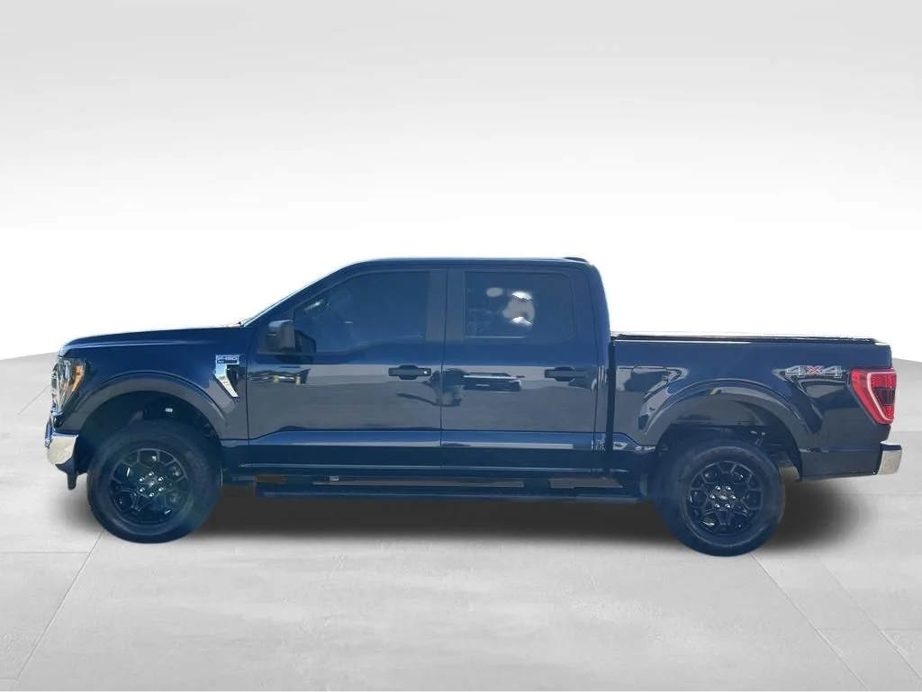 Used 2023 Blue Ford XLT image 2