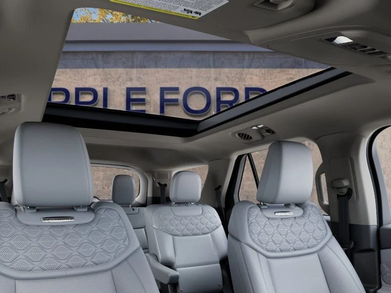 New 2027 Gray Ford Platinum image 22