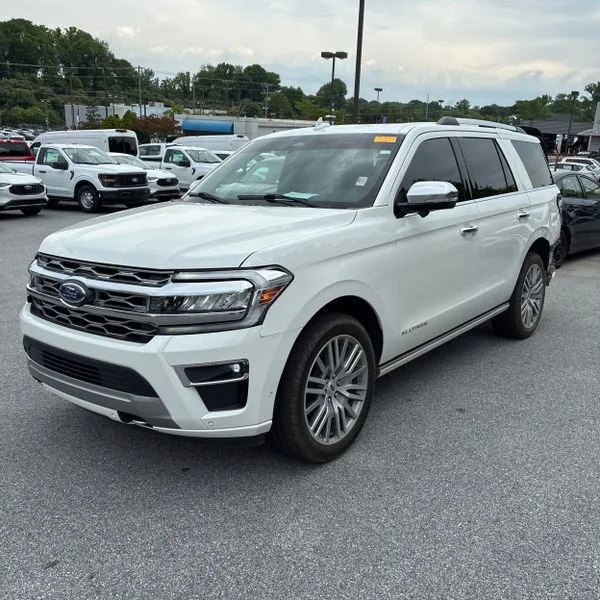 2024 Ford Expedition Platinum 4x4's photo
