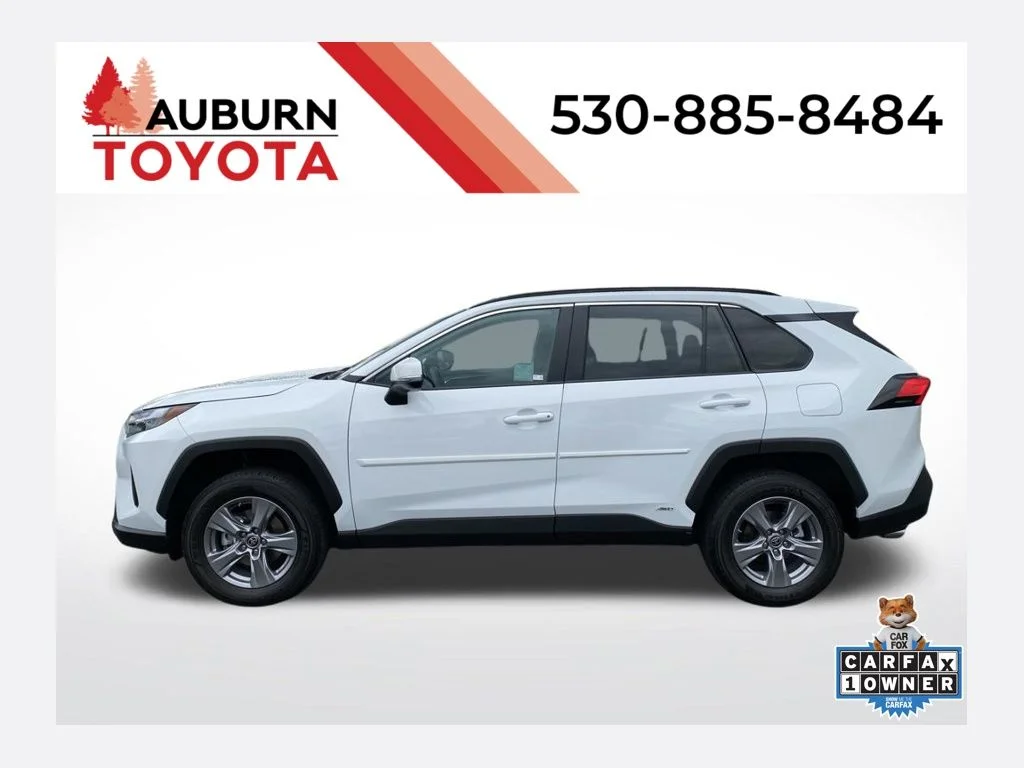 2024 Toyota RAV4 Hybrid LE AWD's photo