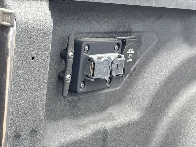 Used 2022 Gray Ram Limited image 9
