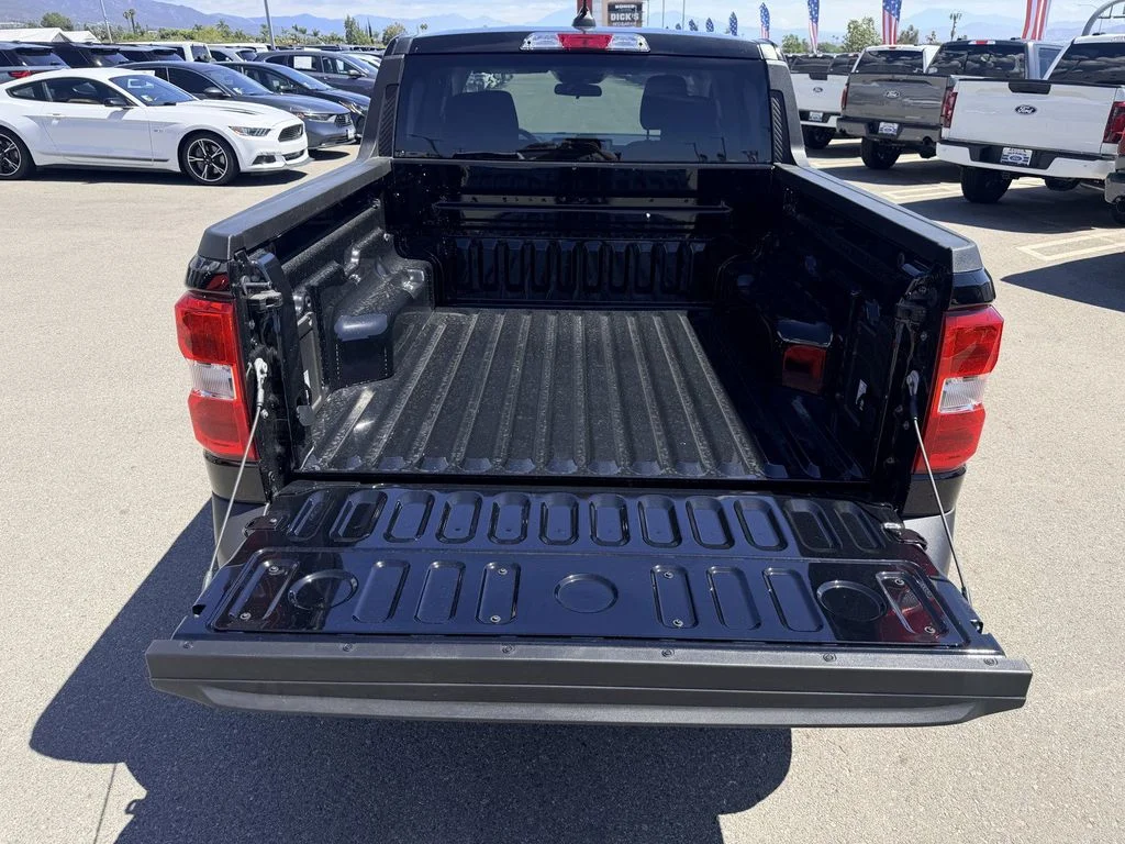 New 2026 Shadow Black Ford XL image 14