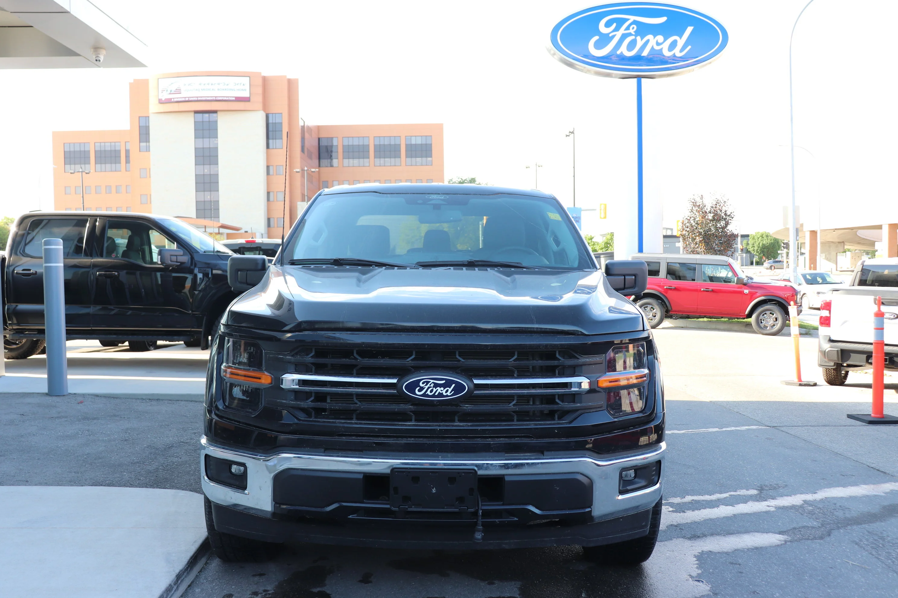 Used 2024  Ford XLT 4WD SuperCrew 5.5