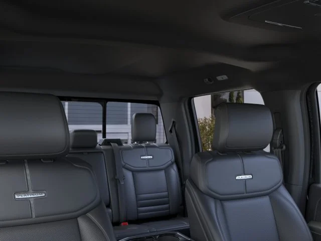 New 2026 Black Metallic Ford Platinum image 22