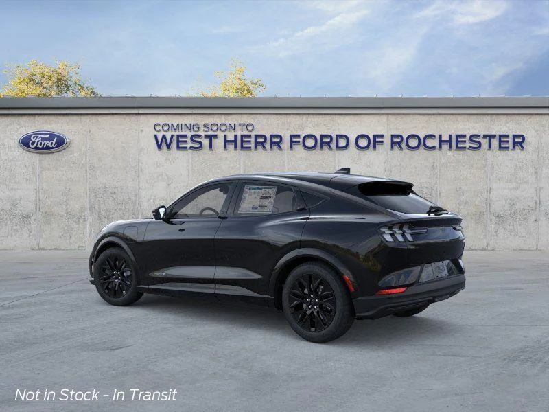 New 2026 Shadow Black Ford Premium image 5