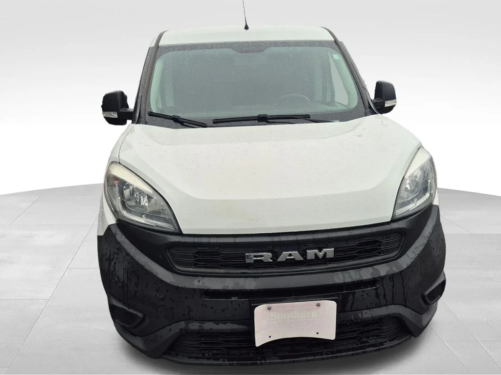 Used 2019 White Ram Tradesman image 7