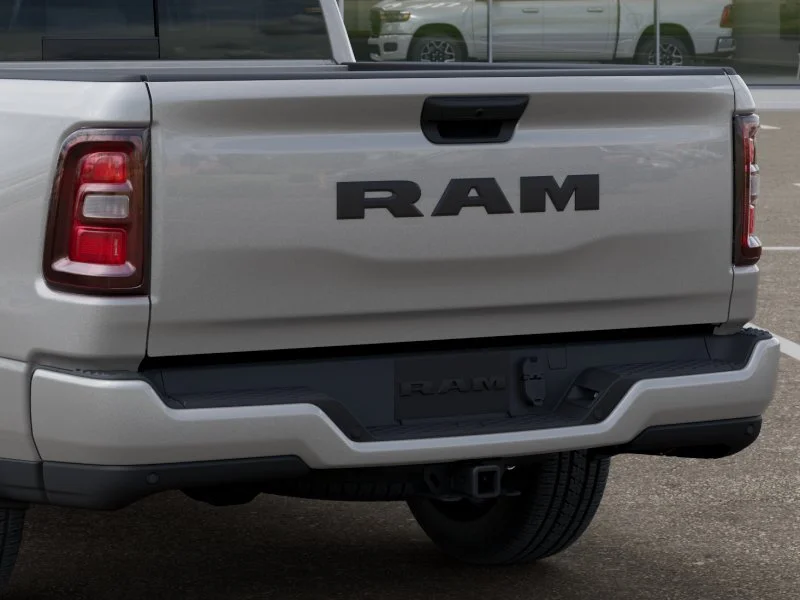 New 2026 Silver Zynith Exterior Paint RAM Express image 13