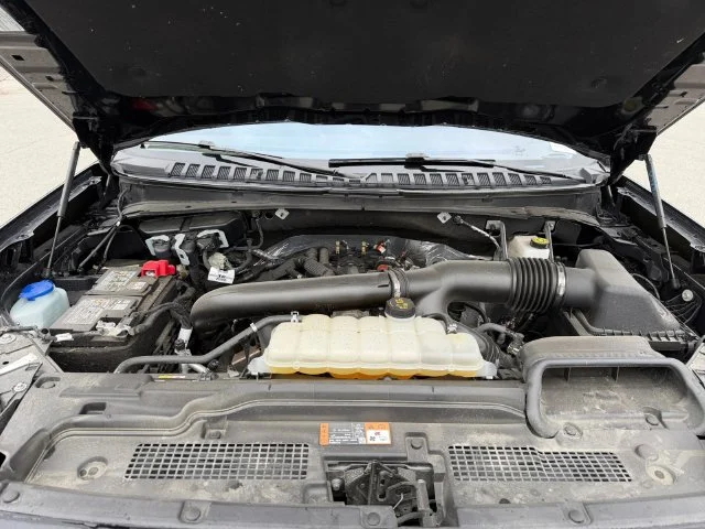 Used 2025 Black Metallic Ford Active image 24
